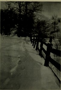 The American annual of photography (1911) (14803288903)