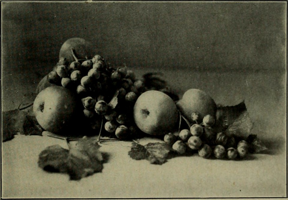 The American annual of photography (1911) (14781099654)