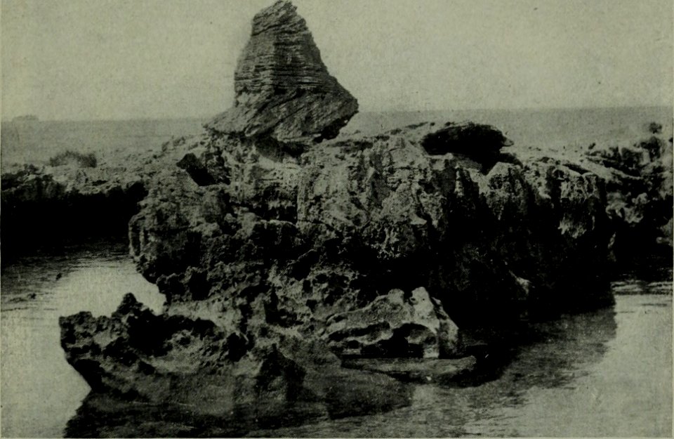 The American annual of photography (1912) (14579114400)