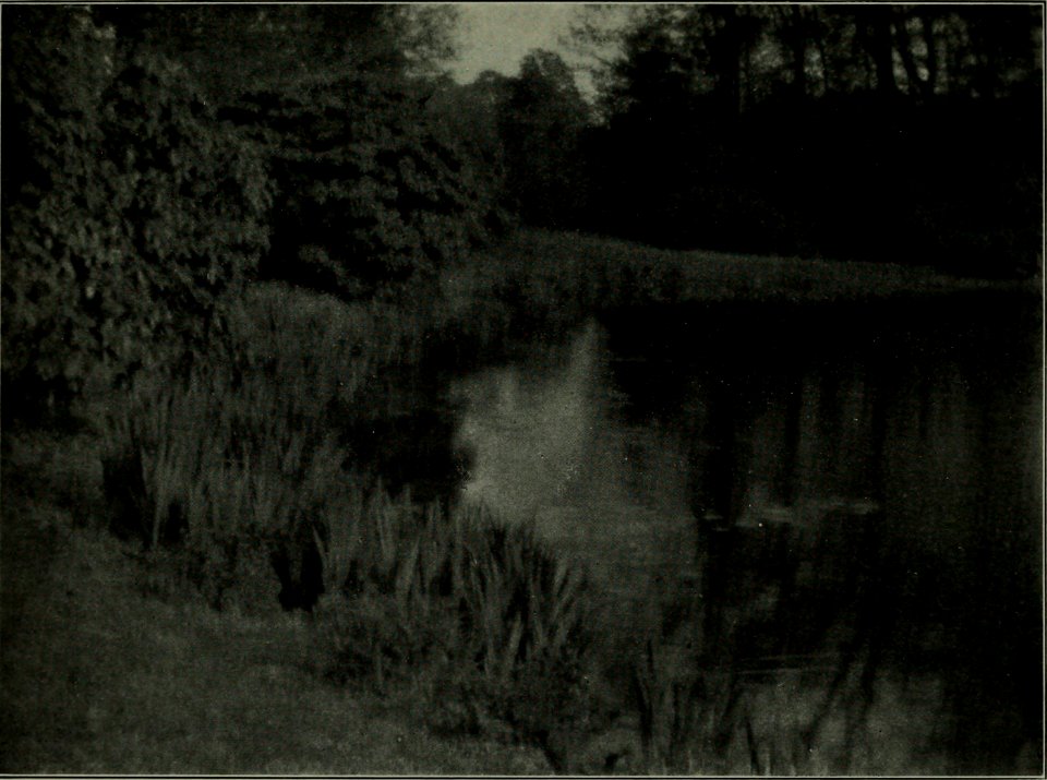 The American annual of photography (1912) (14762621901)