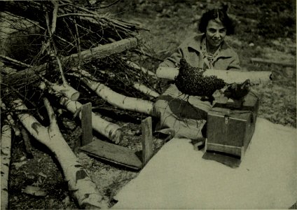 The American annual of photography (1914) (14594150257)