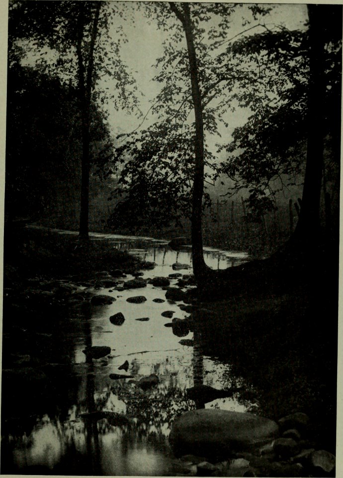The American annual of photography (1912) (14579435187)