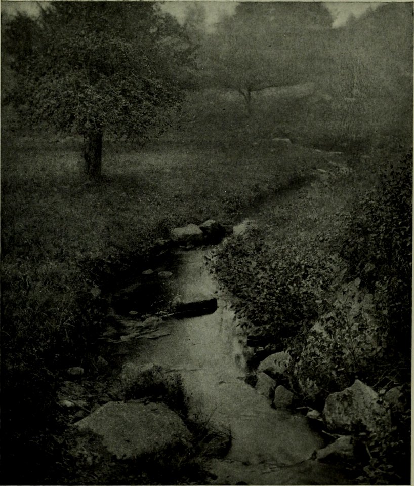 The American annual of photography (1912) (14765541222)
