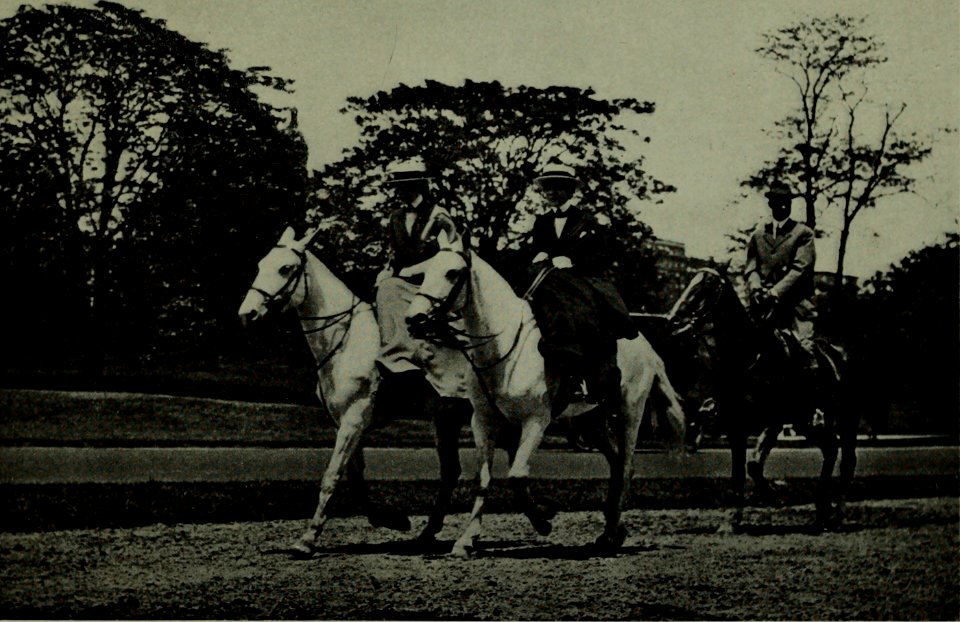 The American annual of photography (1914) (14779947982)
