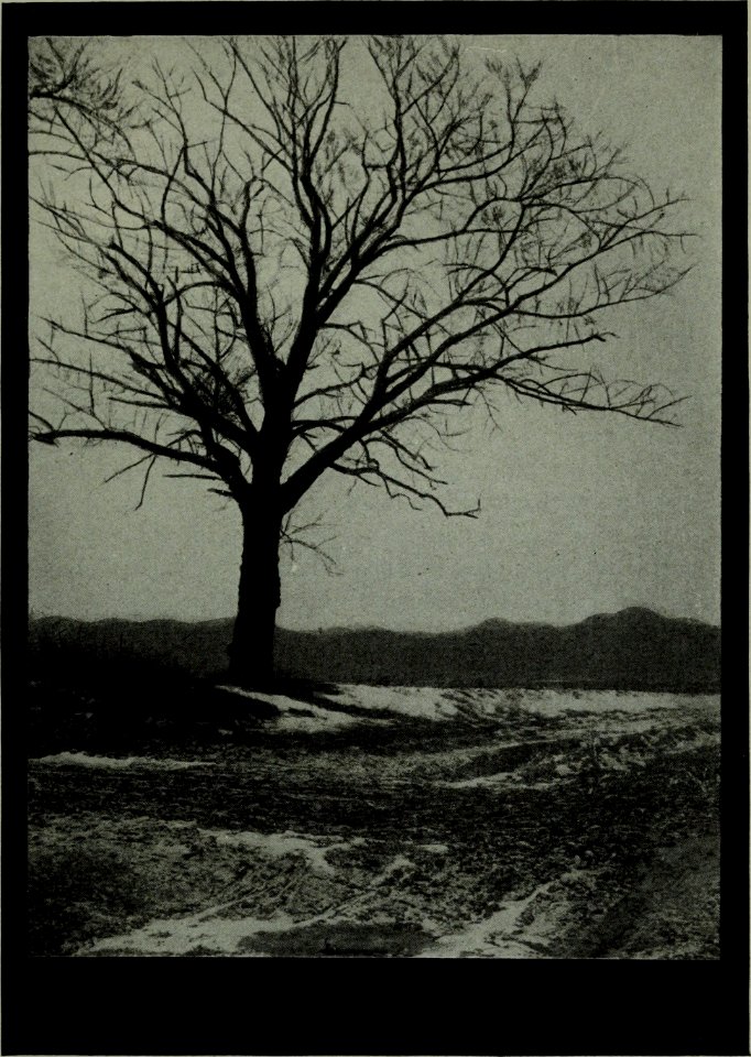 The American annual of photography (1917) (14597341239)