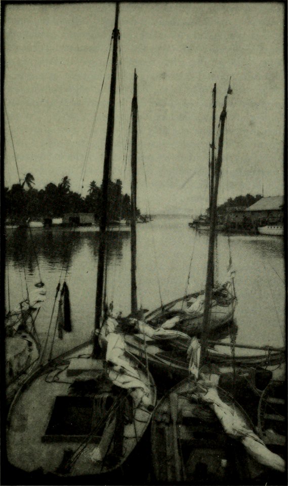 The American annual of photography (1914) (14593452819)