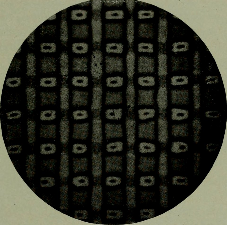 The American annual of photography (1914) (14593683819)