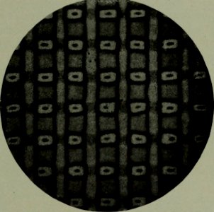 The American annual of photography (1914) (14593683819)