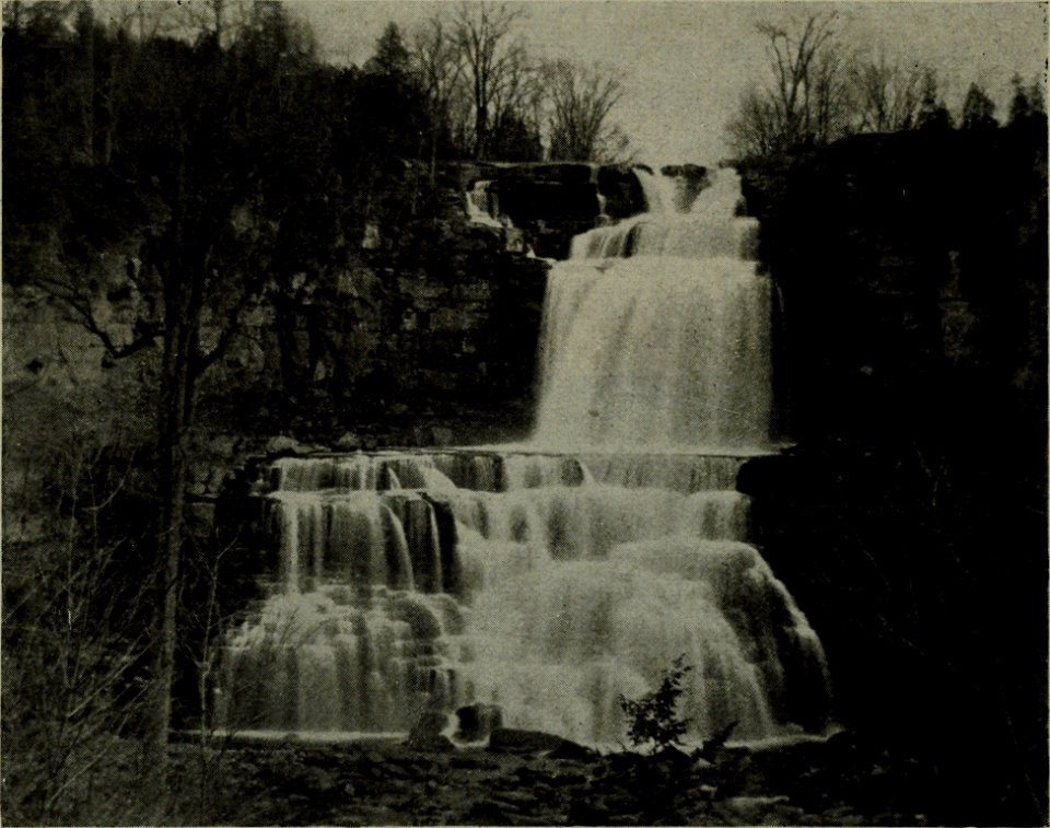 The American annual of photography (1917) (14783732802)