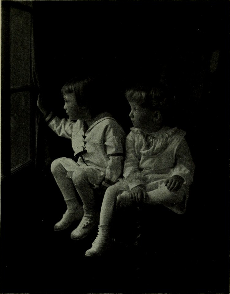 The American annual of photography (1917) (14597442118)