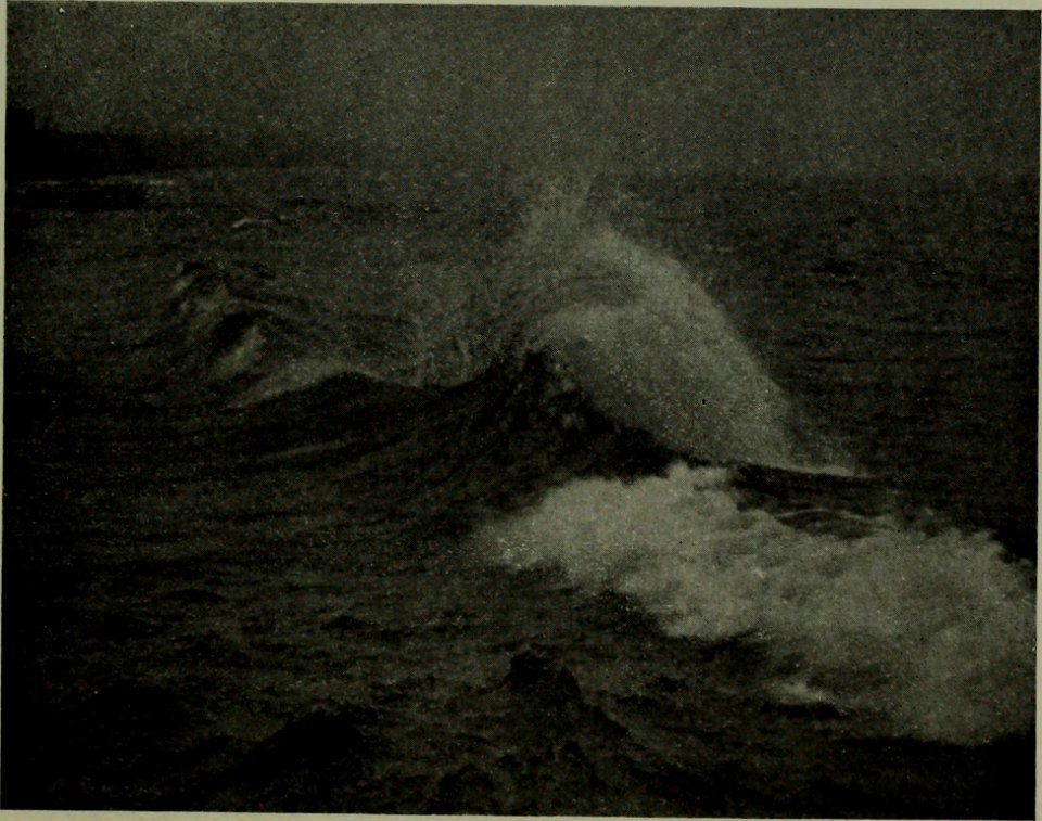 The American annual of photography (1914) (14777409081)