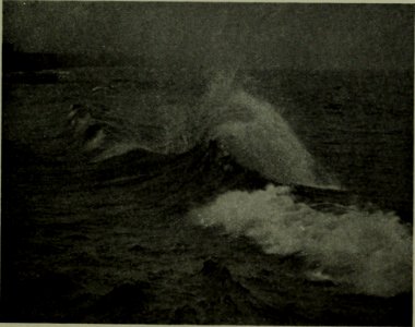 The American annual of photography (1914) (14777409081)