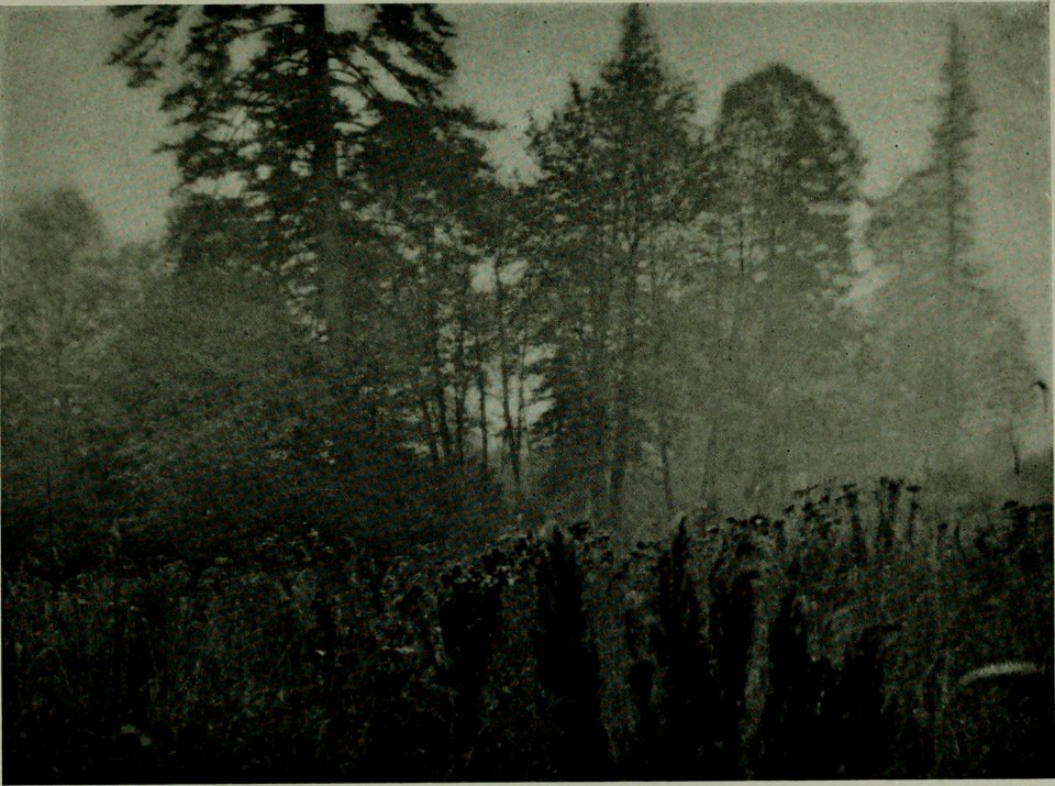 The American annual of photography (1914) (14757473216)