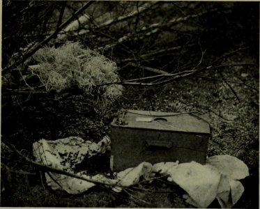 The American annual of photography (1914) (14780659335)