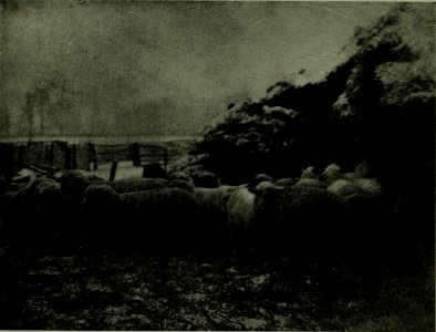 The American annual of photography (1914) (14778238524)