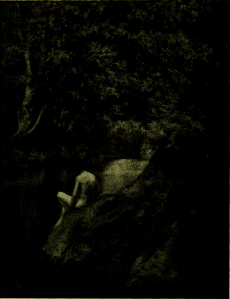 The American annual of photography (1918) (14594832177)