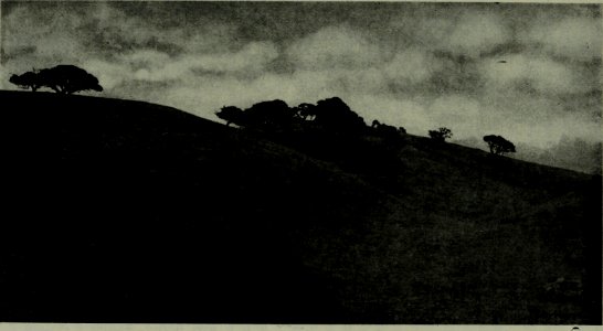 The American annual of photography (1919) (14780235294)