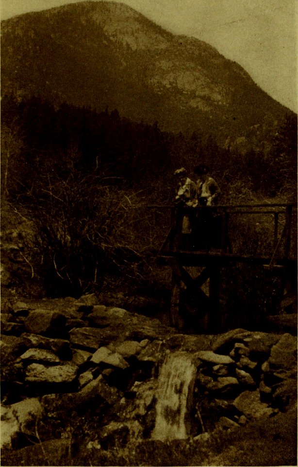 The American annual of photography (1917) (14597298128)