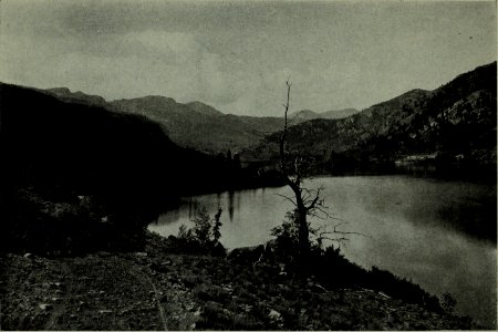 The American annual of photography (1917) (14597530877)