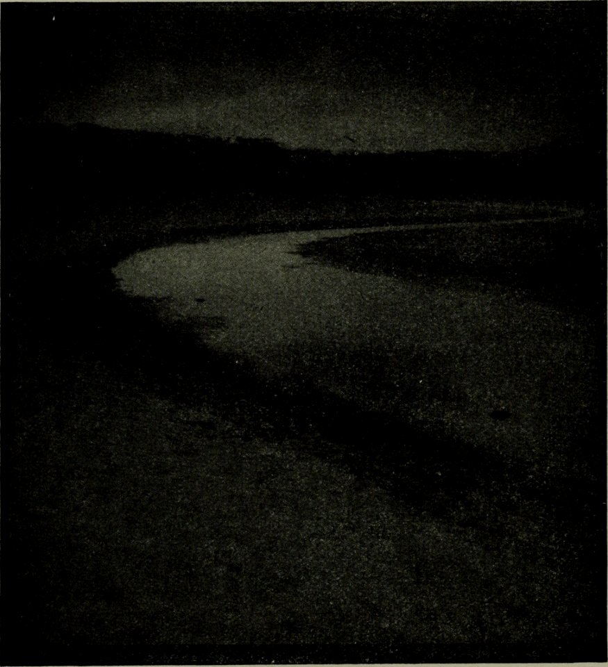 The American annual of photography (1917) (14597278269)