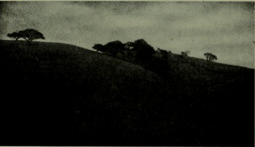 The American annual of photography (1919) (14595885180)