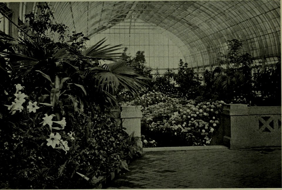 The American annual of photography (1919) (14595837550)