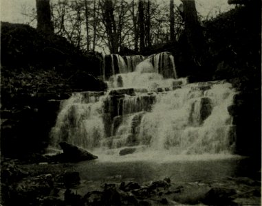 The American annual of photography (1917) (14803937013)