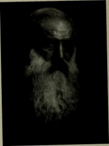 The American annual of photography (1917) (14803811223)