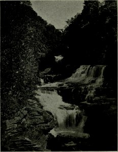 The American annual of photography (1922) (14595032099)