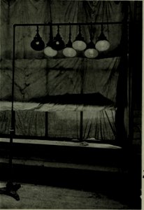 The American annual of photography (1919) (14759632216)