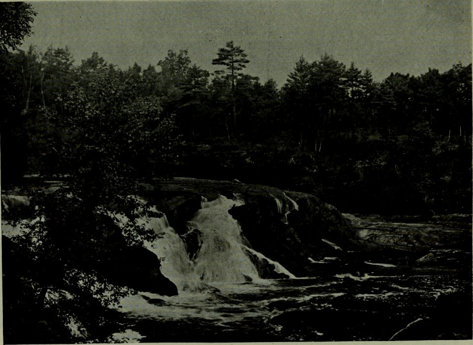 The American annual of photography (1919) (14596301207)