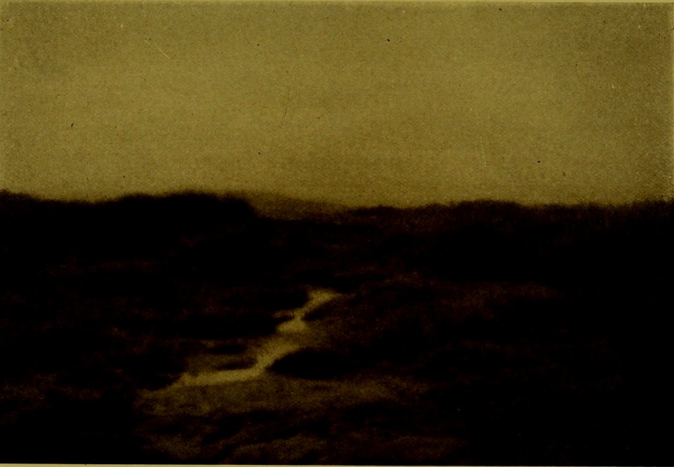 The American annual of photography (1919) (14780137964)