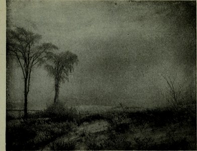 The American annual of photography (1917) (14781606354)