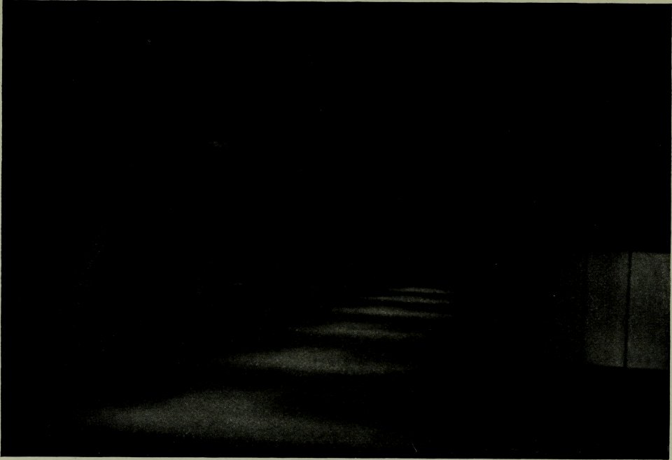 The American annual of photography (1919) (14596003047)