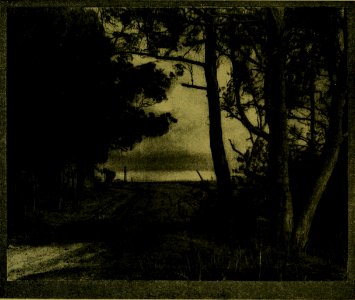 The American annual of photography (1919) (14782137332)