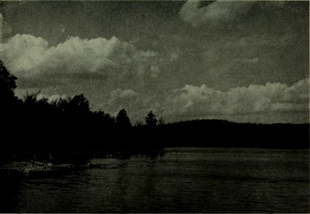 The American annual of photography (1919) (14759628916)