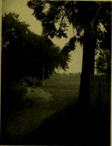 The American annual of photography (1919) (14802678433)