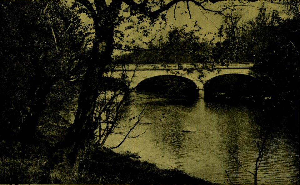 The American annual of photography (1919) (14596032020)