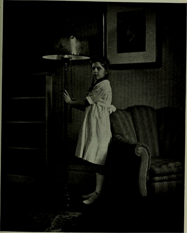 The American annual of photography (1919) (14782428212)