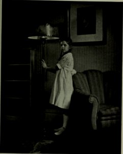 The American annual of photography (1919) (14782428212)