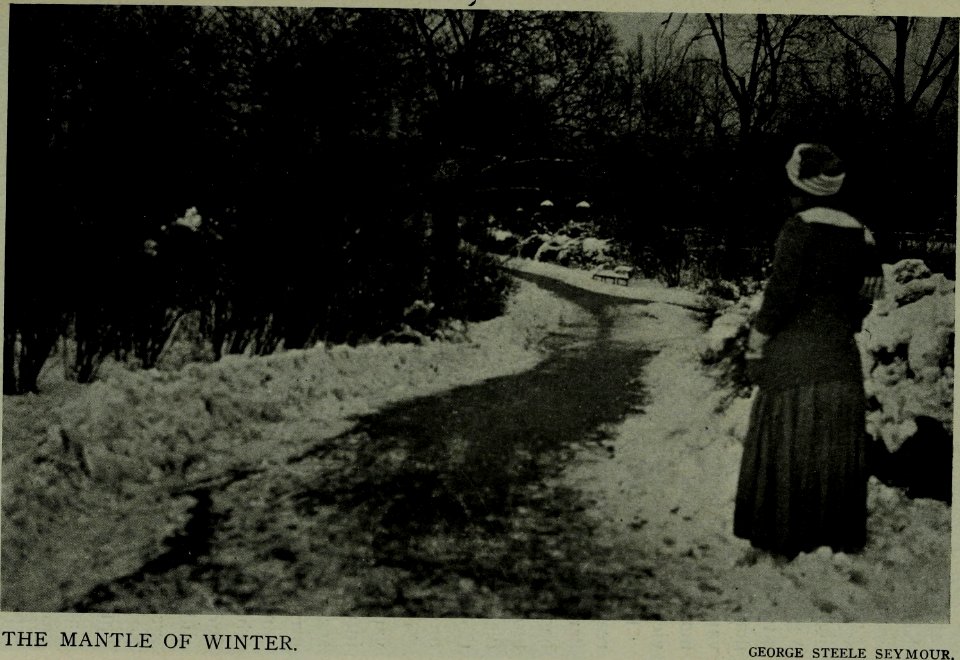 The American annual of photography (1919) (14779351661)