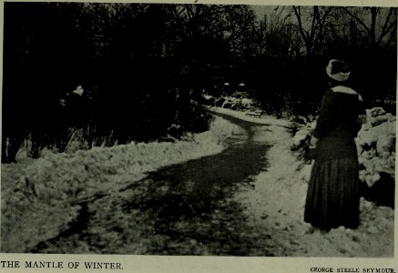 The American annual of photography (1919) (14779351661)