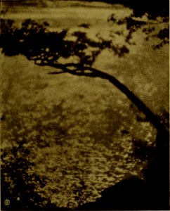 The American annual of photography (1919) (14596037638)