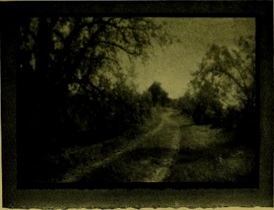 The American annual of photography (1919) (14780431094)
