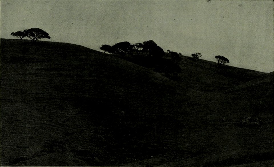 The American annual of photography (1919) (14782240652)