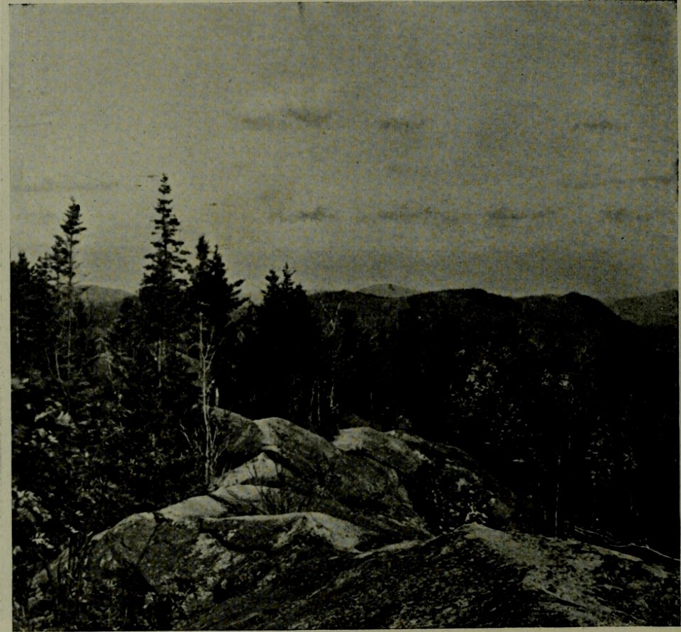 The American annual of photography (1919) (14779646201)