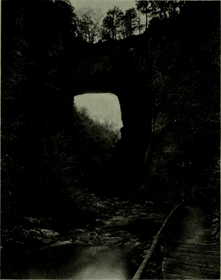 The American annual of photography (1919) (14782403452)