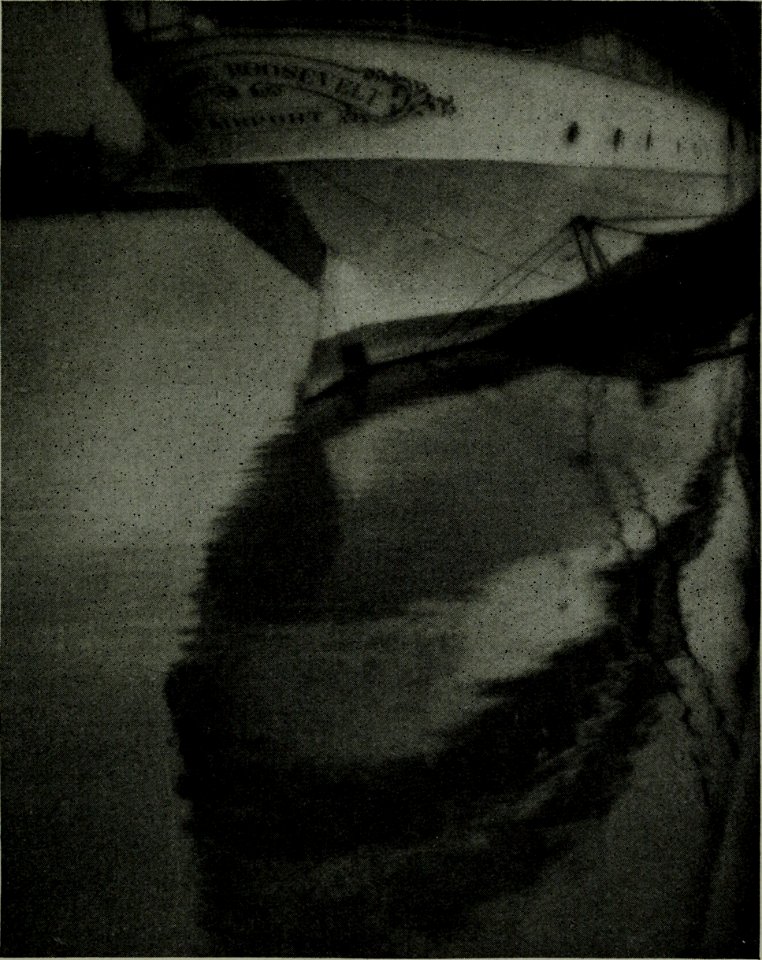 The American annual of photography (1922) (14595124608)