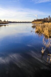 Water reed sky photo