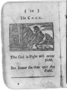 The cock. The cock in fight will never yield ... LCCN2006685857